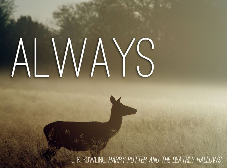 Romantic Harry Potter Quotes
 43 The Most Romantic Lines From Literature