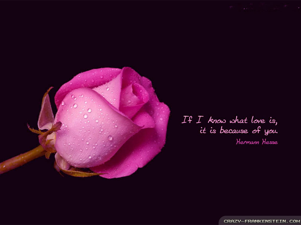 Romantic Pictures Quotes
 Love Poems and Love Quotes Romantic Quotes