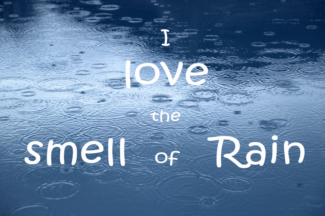 Romantic Rain Quote
 ROMANTIC RAIN QUOTES TUMBLR image quotes at hippoquotes