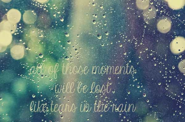 Romantic Rain Quote
 ROMANTIC RAIN QUOTES TUMBLR image quotes at relatably