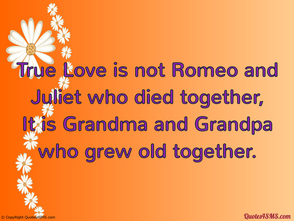 Romeo Quotes About Love
 Romeo And Juliet Death Quotes QuotesGram