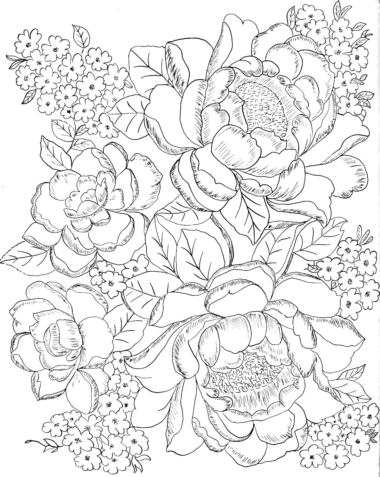 Rose Coloring Pages For Adults
 Digital Two for Tuesday Digital Two for Tuesday 172