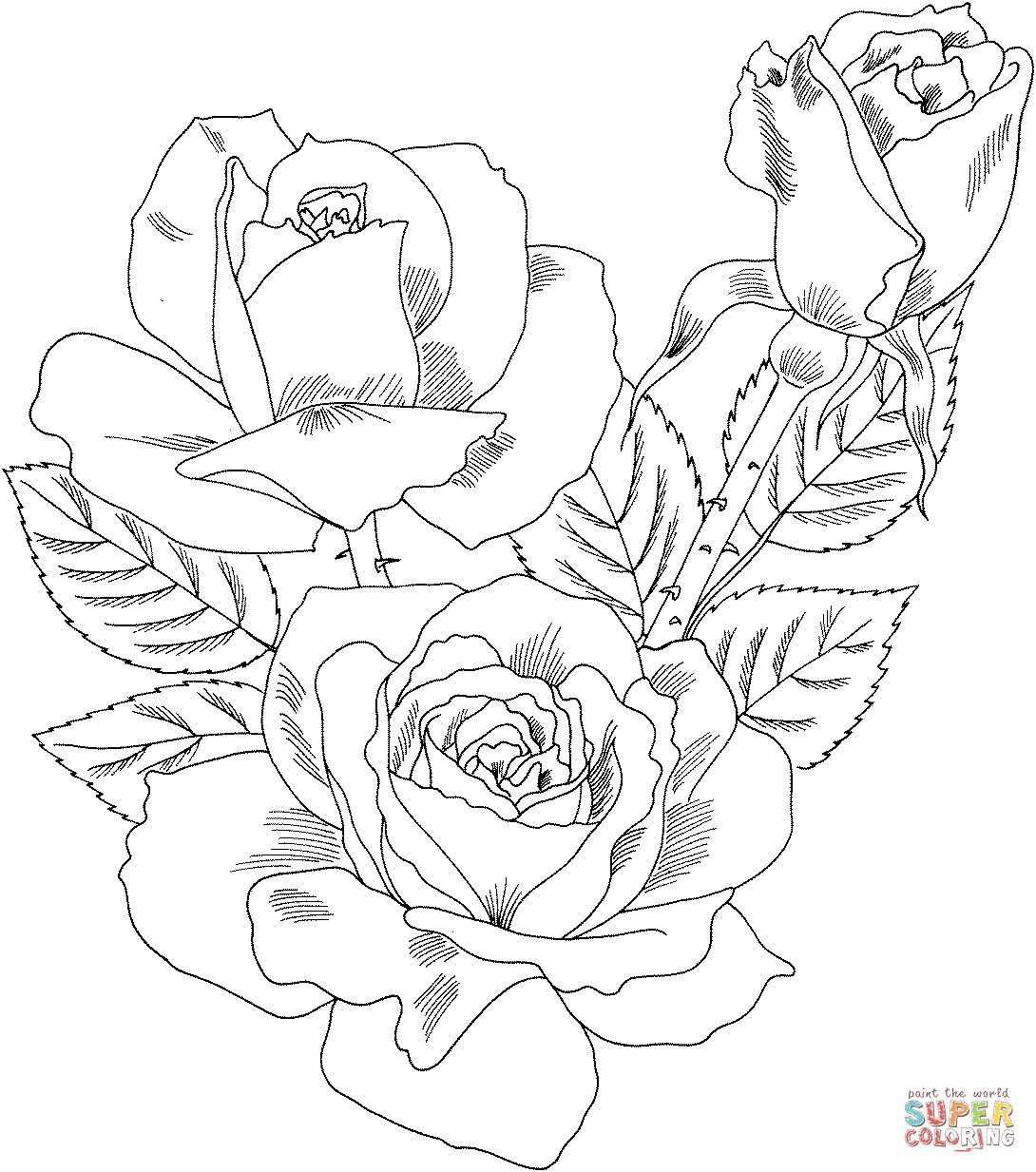 Rose Coloring Pages For Adults
 Double Delight Hybrid Tea Rose coloring page