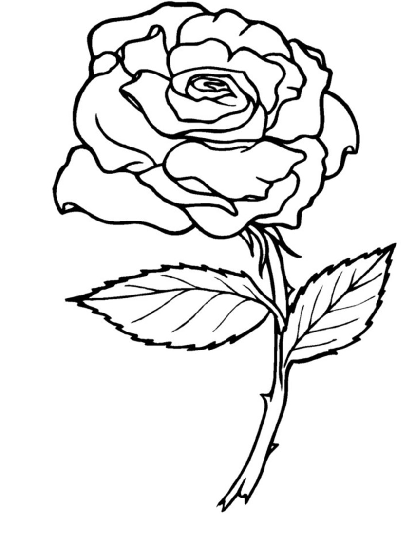 Rose Coloring Pages For Adults
 Free Adult Printable Coloring Pages Roses Heart Coloring