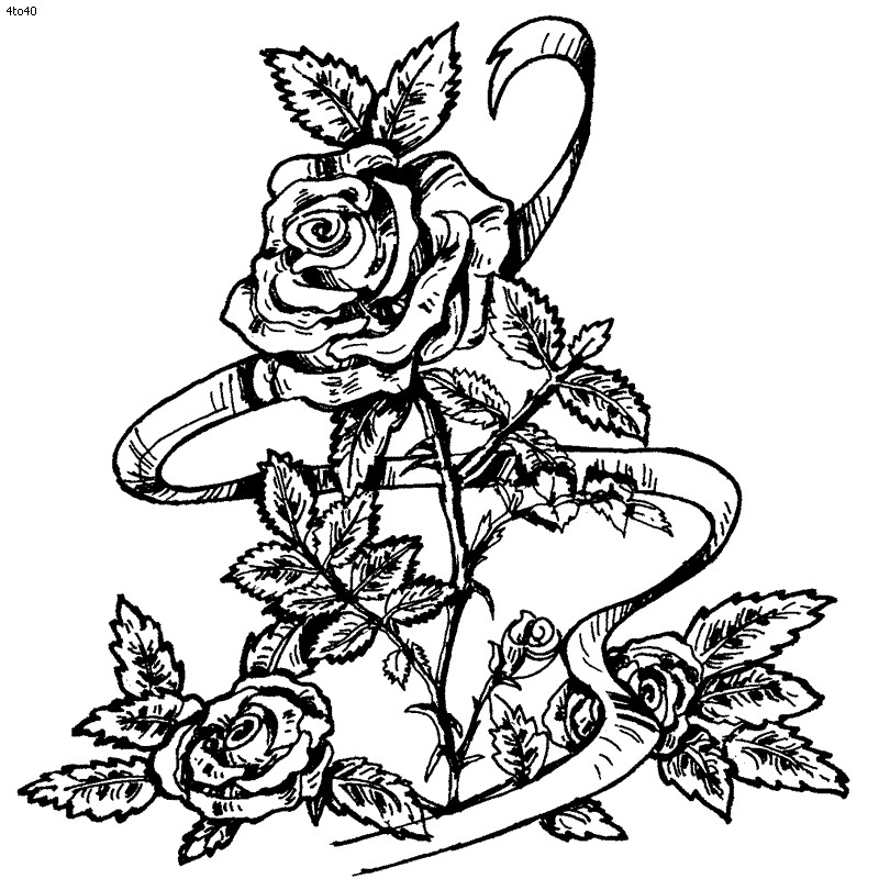 Rose Coloring Pages For Adults
 Coloring Pages Roses Coloring Home