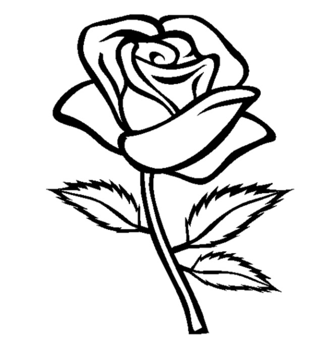 Rose Coloring Pages For Adults
 rose coloring page
