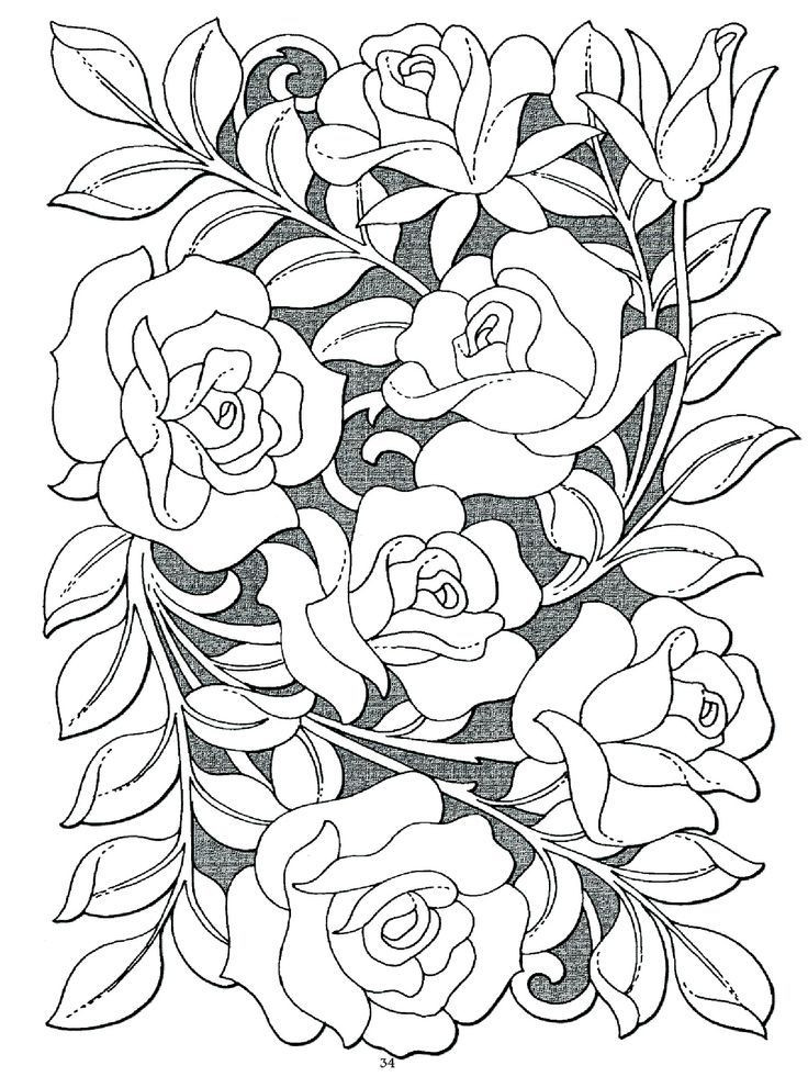 Rose Coloring Pages For Adults
 Pin by Leanne Hill on Colouring pages