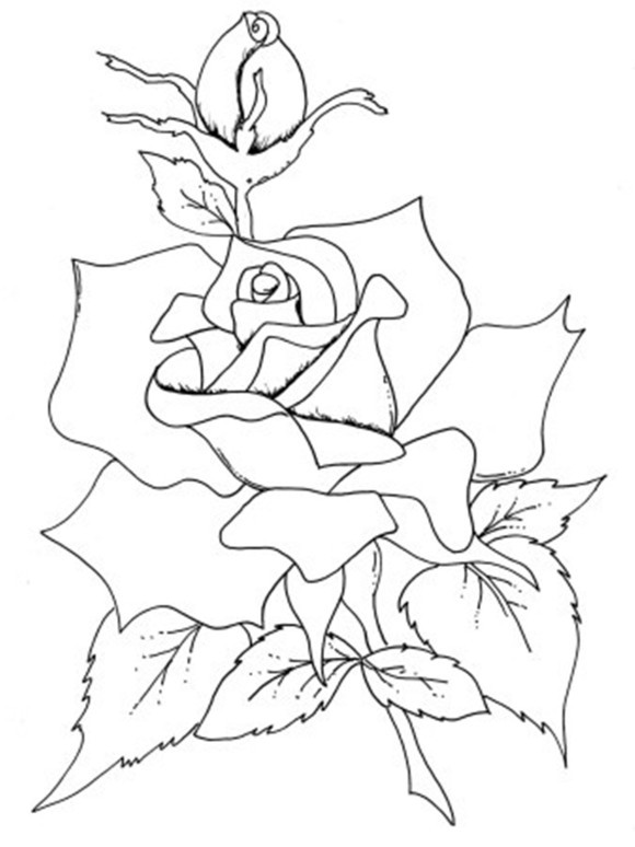 Rose Coloring Pages For Adults
 30 Rose Coloring Pages ColoringStar