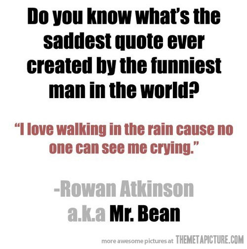 Sad But Funny Quotes
 The saddest quote The Meta Picture