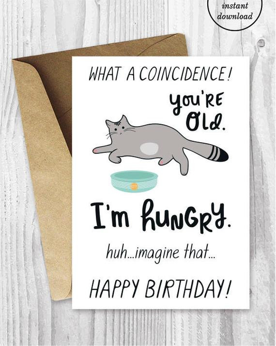 Sarcastic Birthday Card
 Sarcastic Birthday Cards Instant Download Funny Printable Cat
