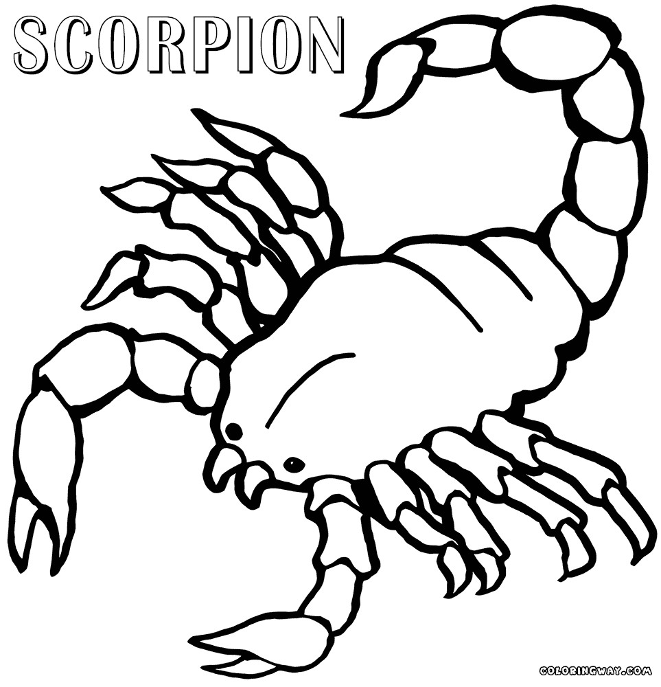 Scorpion Coloring Pages
 Drawn scorpion PinArt