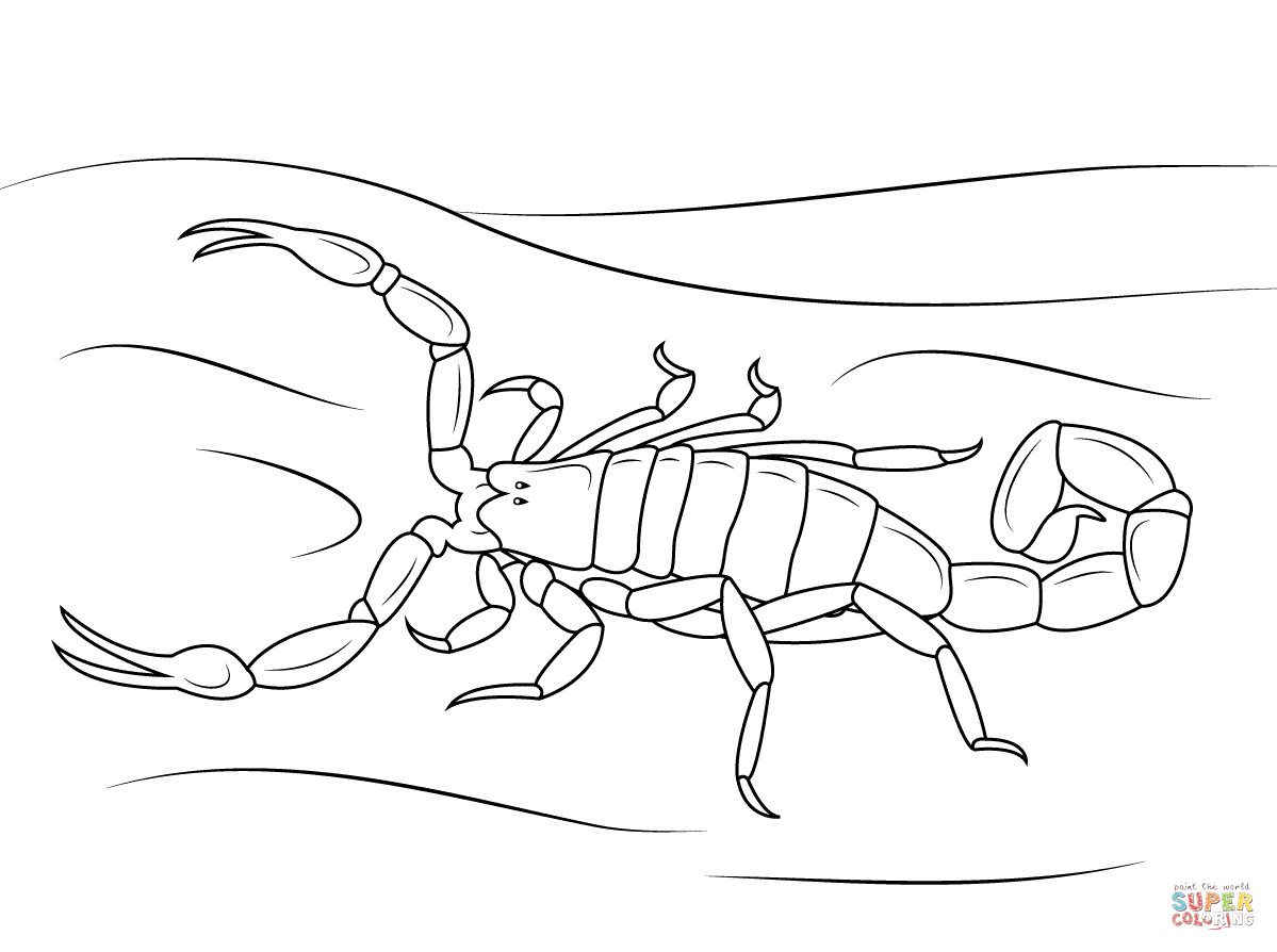 Scorpion Coloring Pages
 Striped Bark Scorpion coloring page