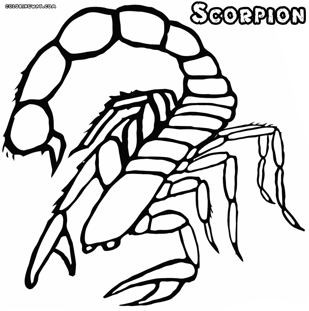 Scorpion Coloring Pages
 Scorpion coloring pages