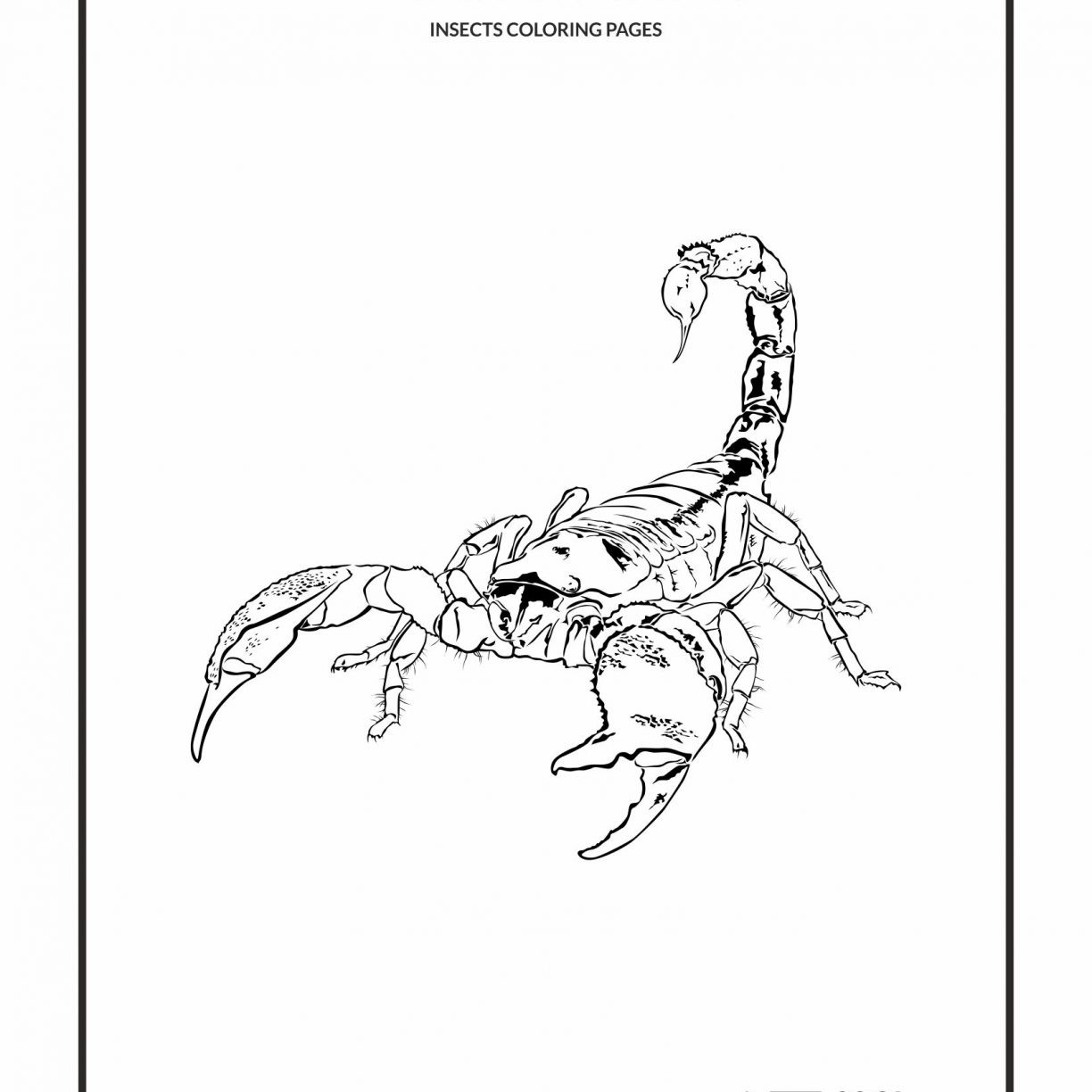 Scorpion Coloring Pages
 Scorpion Cartoon Drawing at GetDrawings