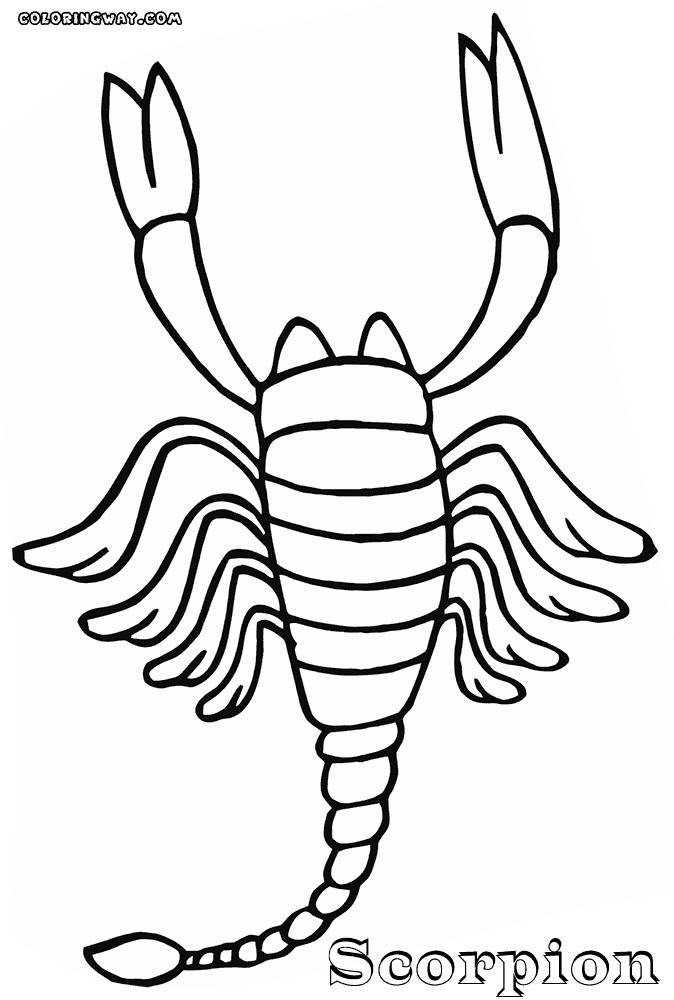 Scorpion Coloring Pages
 Scorpion coloring pages
