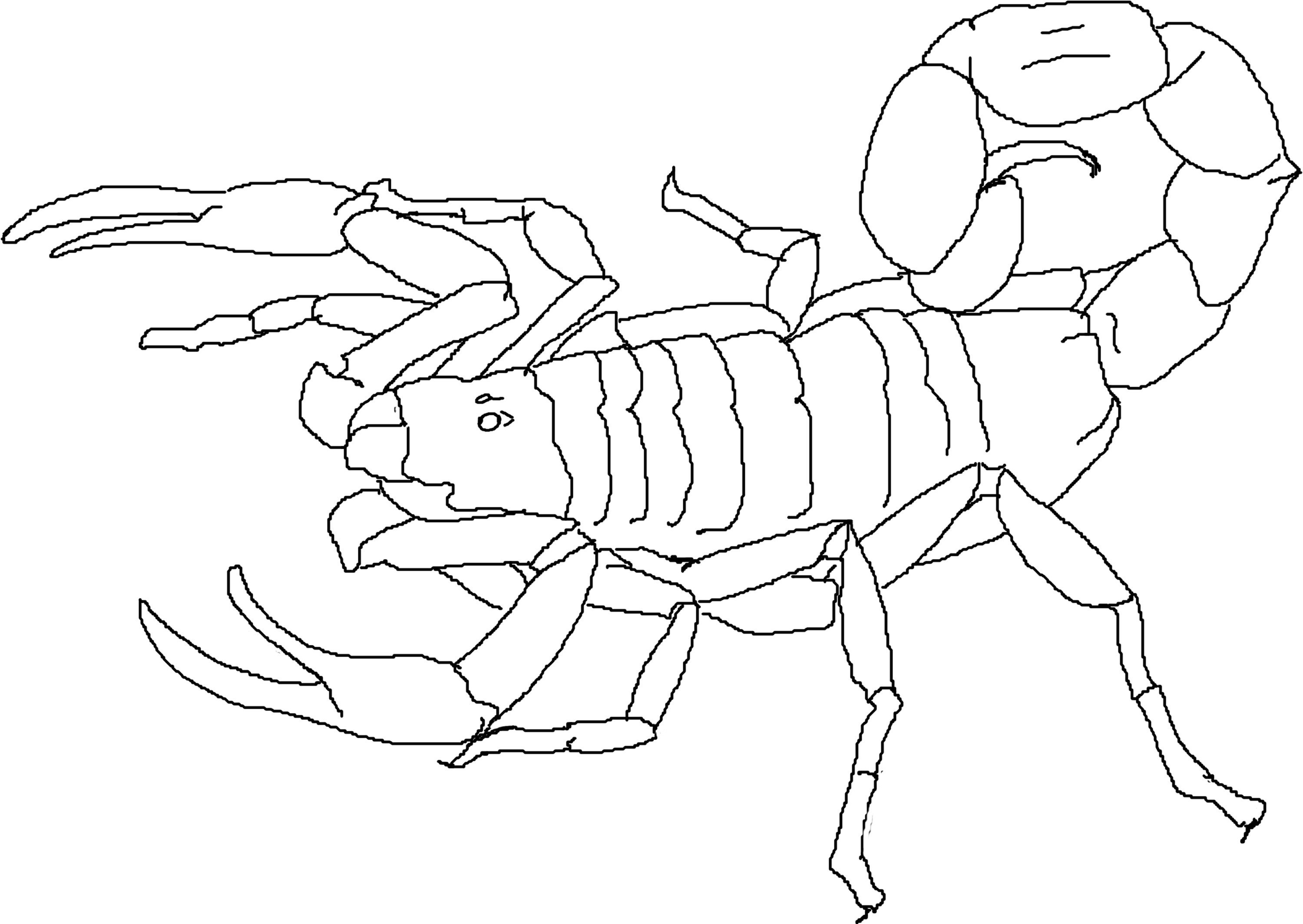 Scorpion Coloring Pages
 Free Printable Scorpion Coloring Pages For Kids
