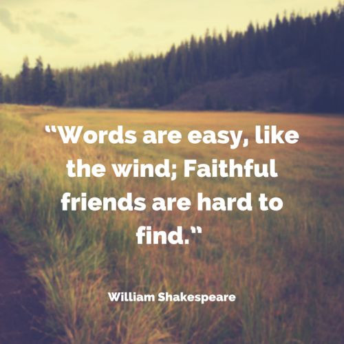 Shakespeare Friendship Quotes
 1000 Shakespeare Quotes About Life on Pinterest