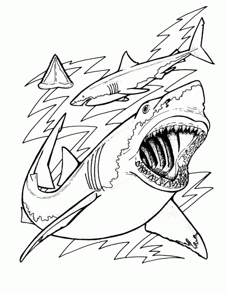 Sharks Coloring Pages
 Free Printable Shark Coloring Pages For Kids