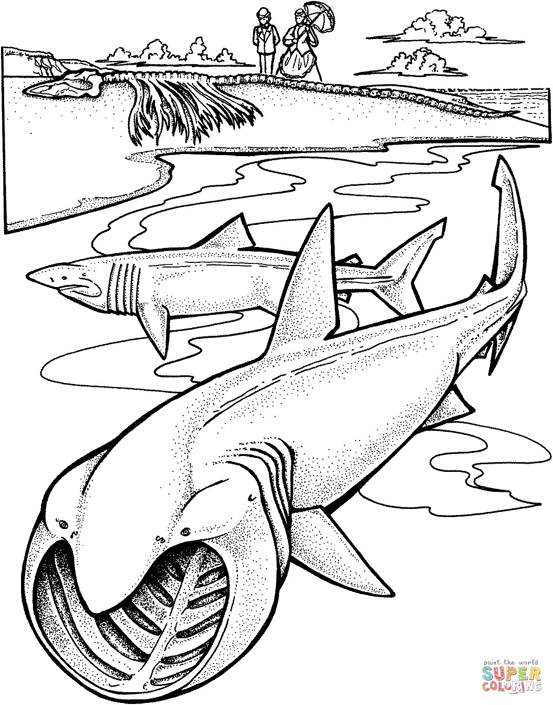 Sharks Coloring Pages
 Two Basking Sharks coloring page