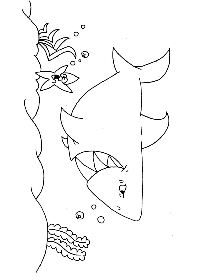 Sharks Coloring Pages
 Shark Coloring Pages and Posters