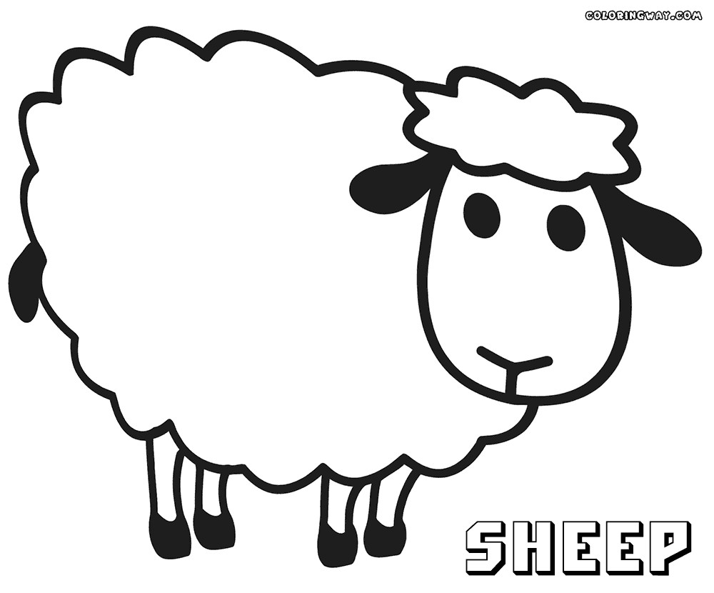 Sheep Coloring Sheet
 Sheep coloring pages