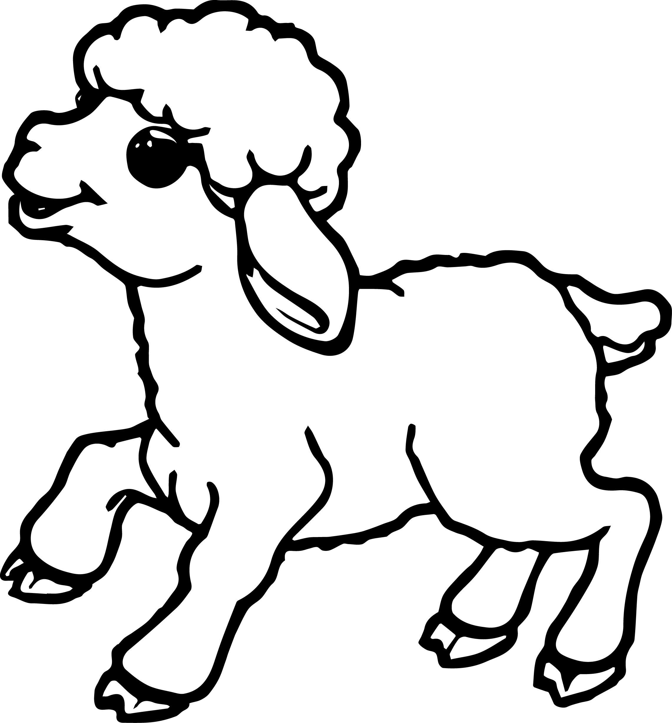 Sheep Coloring Sheet
 Sheep Outline Coloring Page Coloring Home