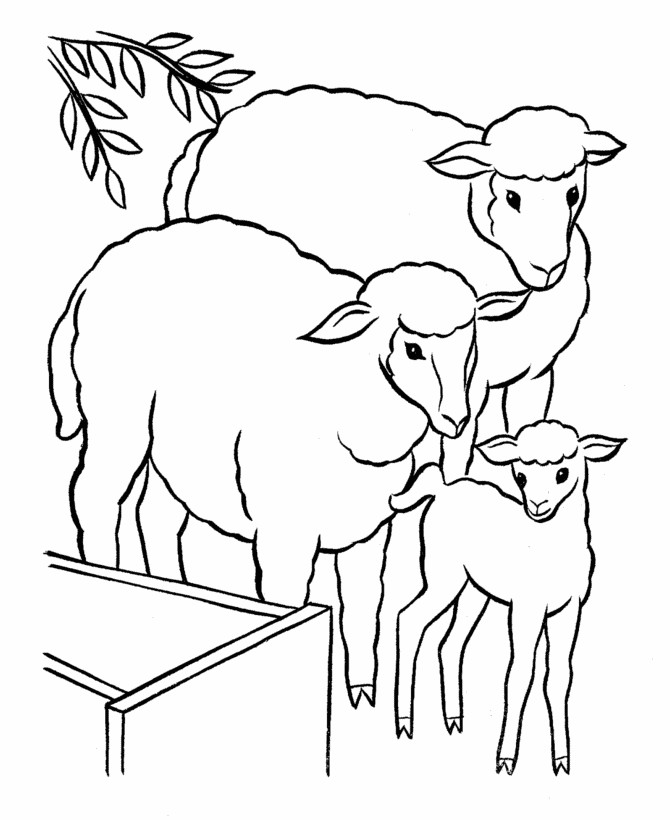 Sheep Coloring Sheet
 The Lost Sheep Coloring Pages AZ Coloring Pages