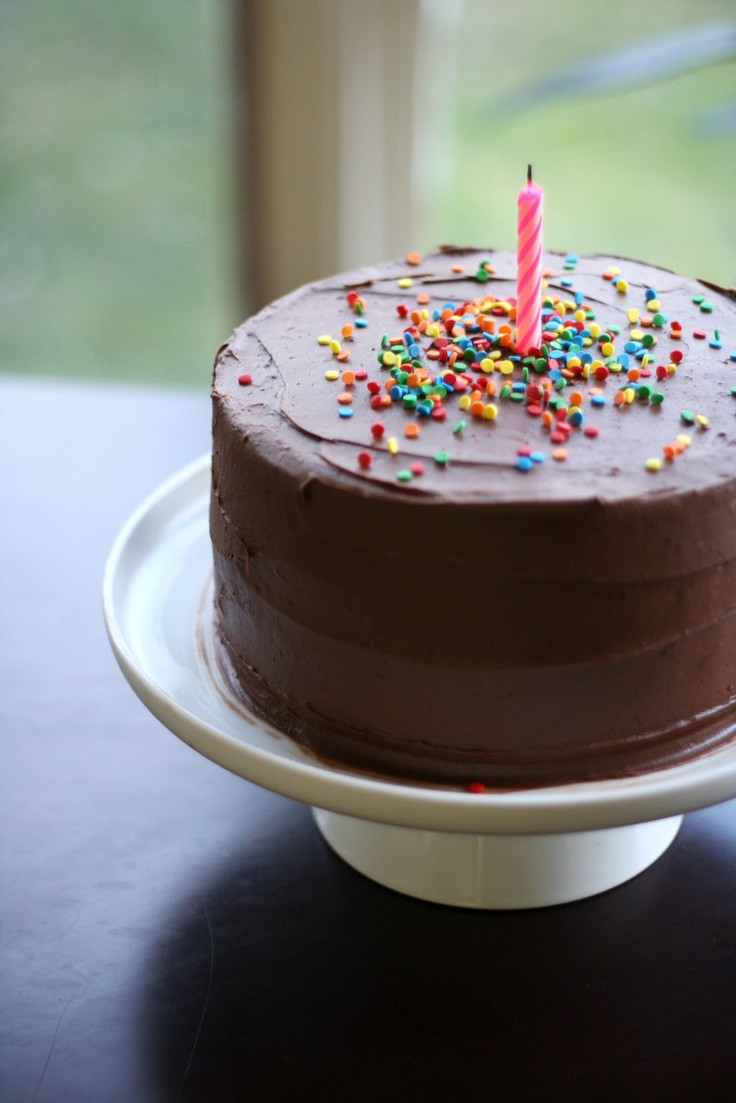 Simple Birthday Cake Recipies
 Best 25 Simple birthday cakes ideas on Pinterest