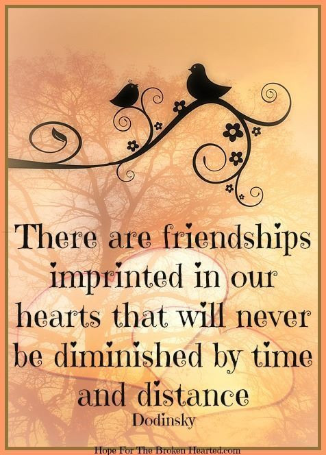 Small Quotes On Friendship
 1000 Short Friendship Quotes on Pinterest