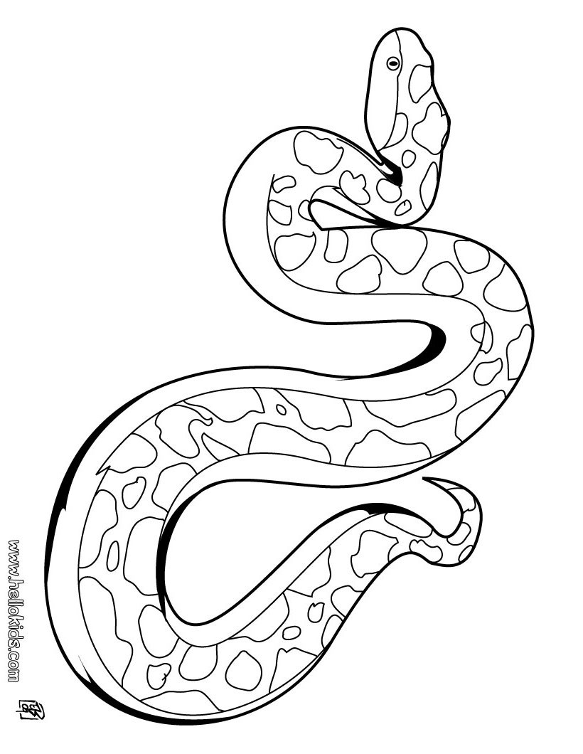Snake Coloring Pages Printable
 Snake coloring pages Hellokids