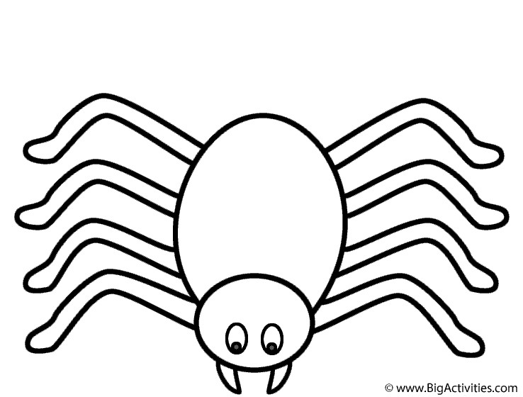 Spiders Coloring Pages For Kids
 Spider Coloring Page Halloween