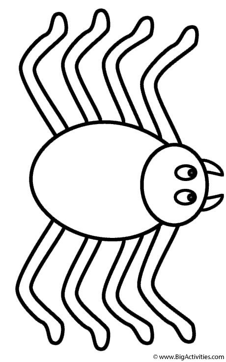 Spiders Coloring Pages For Kids
 Spider Coloring Page Insects