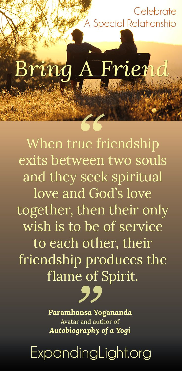 Spiritual Quotes About Friendship
 friendship quote meditation with friends at The