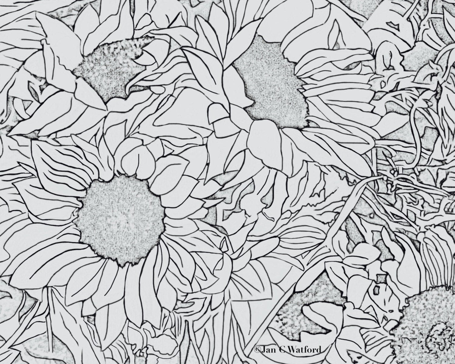 Stress Relief Coloring Pages For Boys
 Sunflowers 1 Adult Coloring Pages Coloring Page Printable