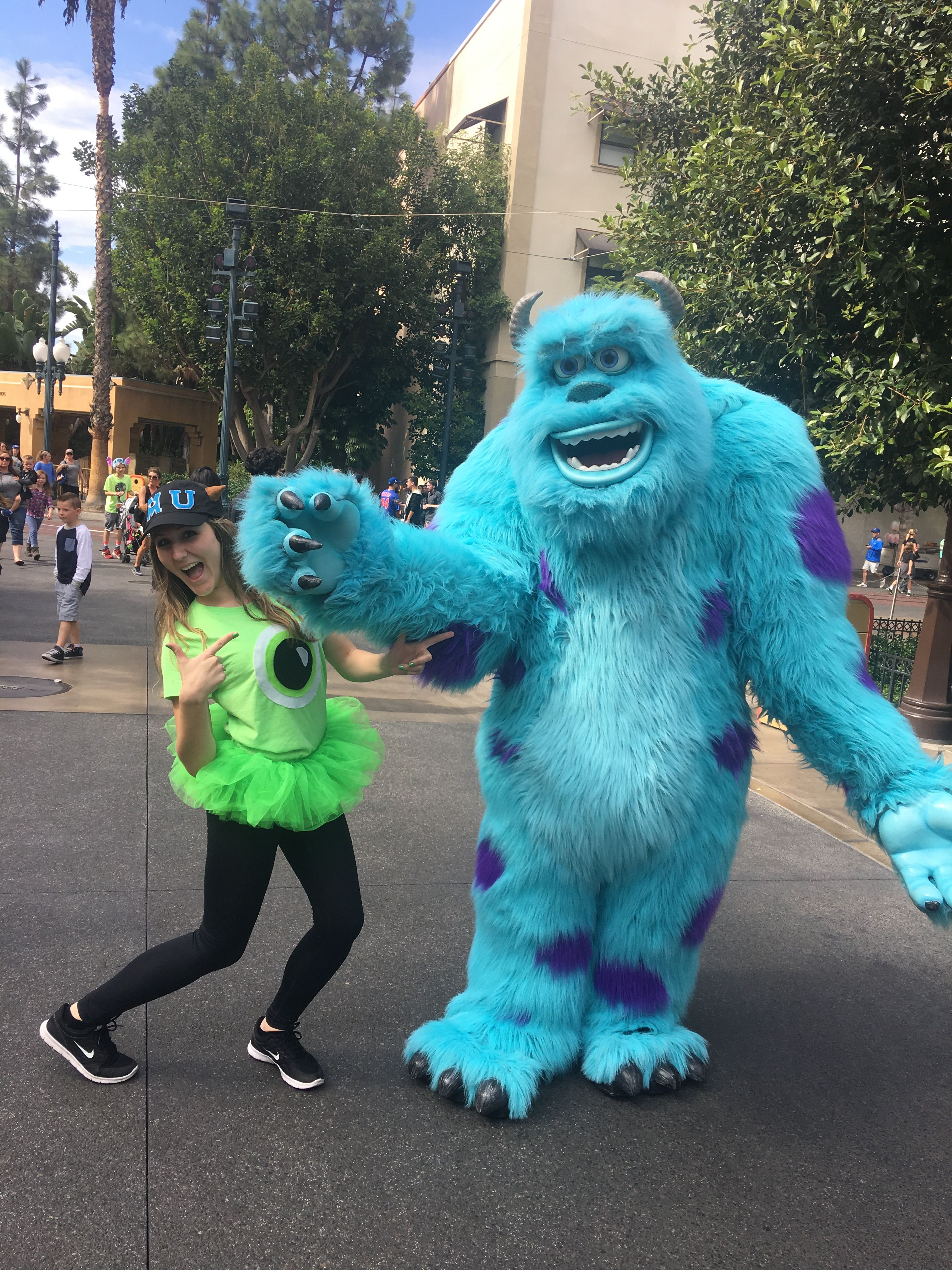 Sully DIY Costume
 Mike and Sully costumes DIY Disney costume
