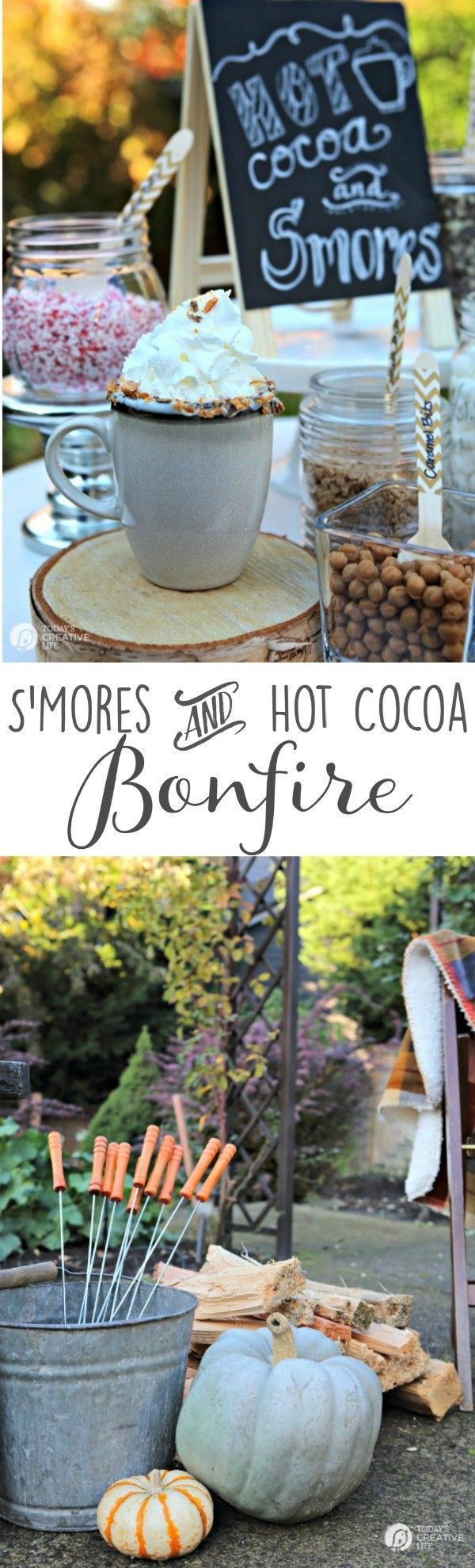 Summer Bonfire Party Ideas
 1000 ideas about Bonfire Parties on Pinterest