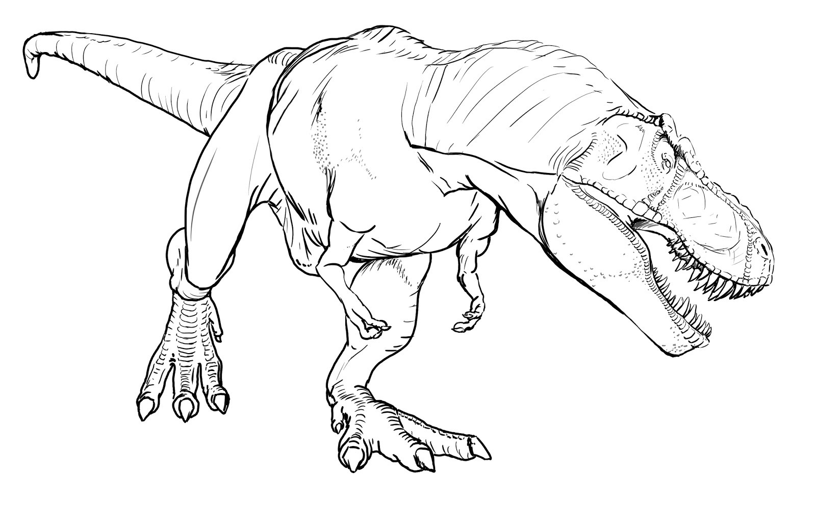 T Rex Printable Coloring Pages
 TRex Coloring Pages Best Coloring Pages For Kids