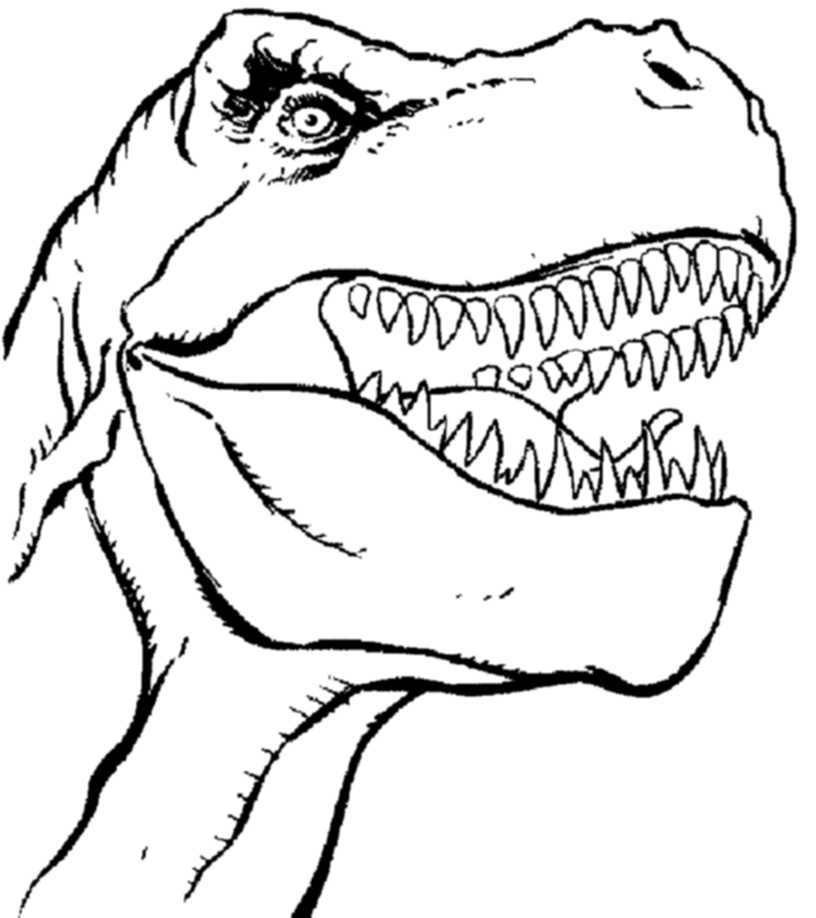 T Rex Printable Coloring Pages
 Print & Download Dinosaur T Rex Coloring Pages for Kids