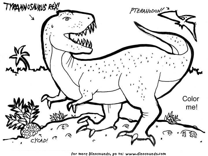 T Rex Printable Coloring Pages
 Ron Schmidtling s Dinosaurs