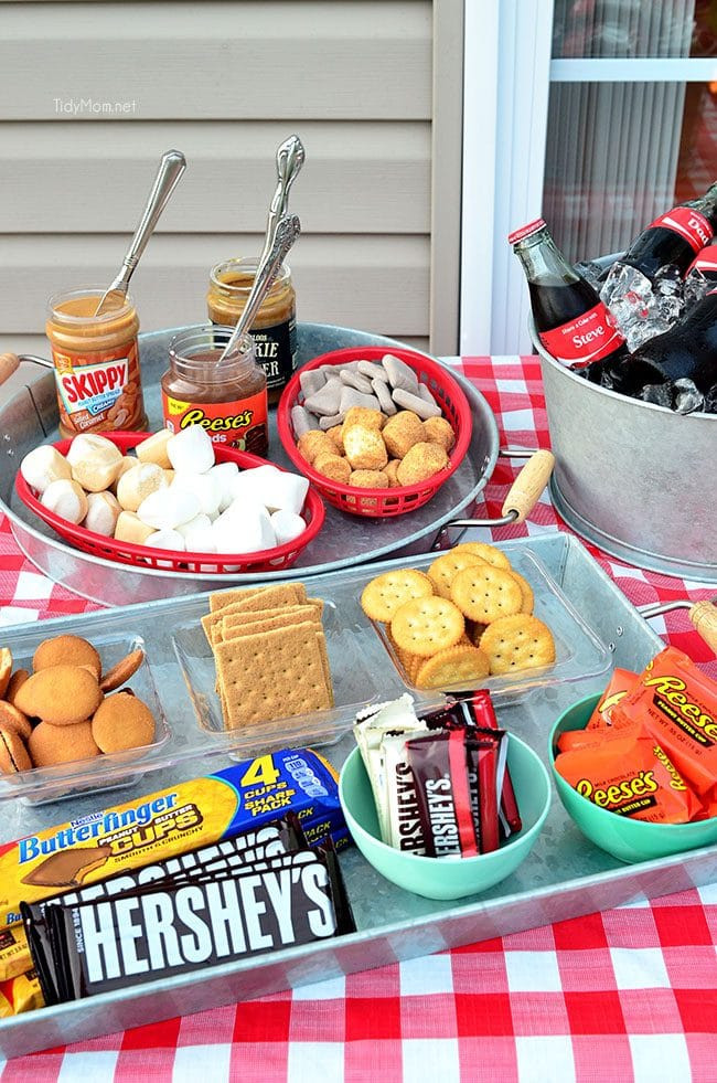Teenage Party Foods Ideas
 Gourmet S mores Party