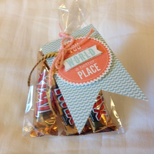 Thank You Gift Bag Ideas
 I found these treat bags and thank you t ideas on