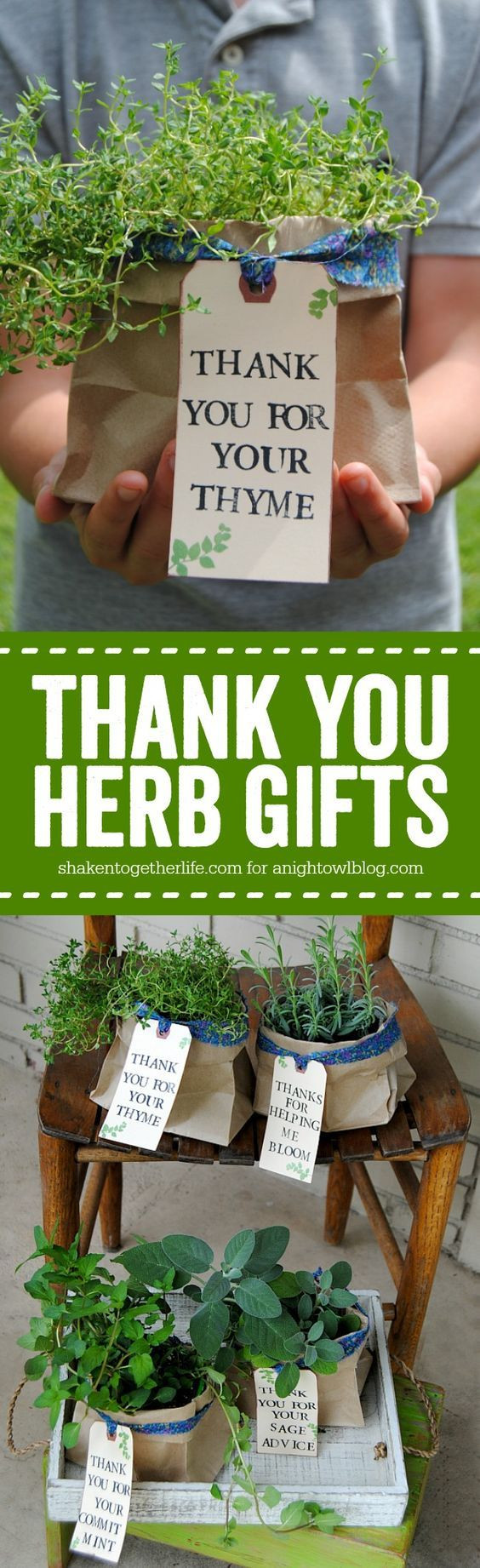 Thank You Gift Ideas For Coworkers Homemade
 Best 25 Volunteer ts ideas on Pinterest