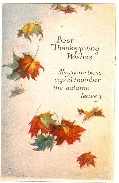 Thanksgiving Card Quotes
 Best Thanksgiving Wishes s and for