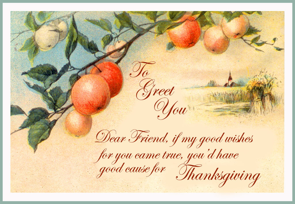 Thanksgiving Card Quotes
 Happy Thanksgiving Greeting Cards Techicy