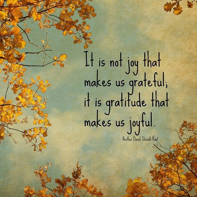 Thanksgiving Grateful Quotes
 thanksgiving thanks giving grateful gratitude