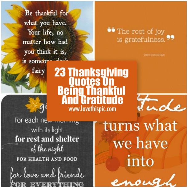 Thanksgiving Grateful Quotes
 23 Thanksgiving Quotes Being Thankful And Gratitude