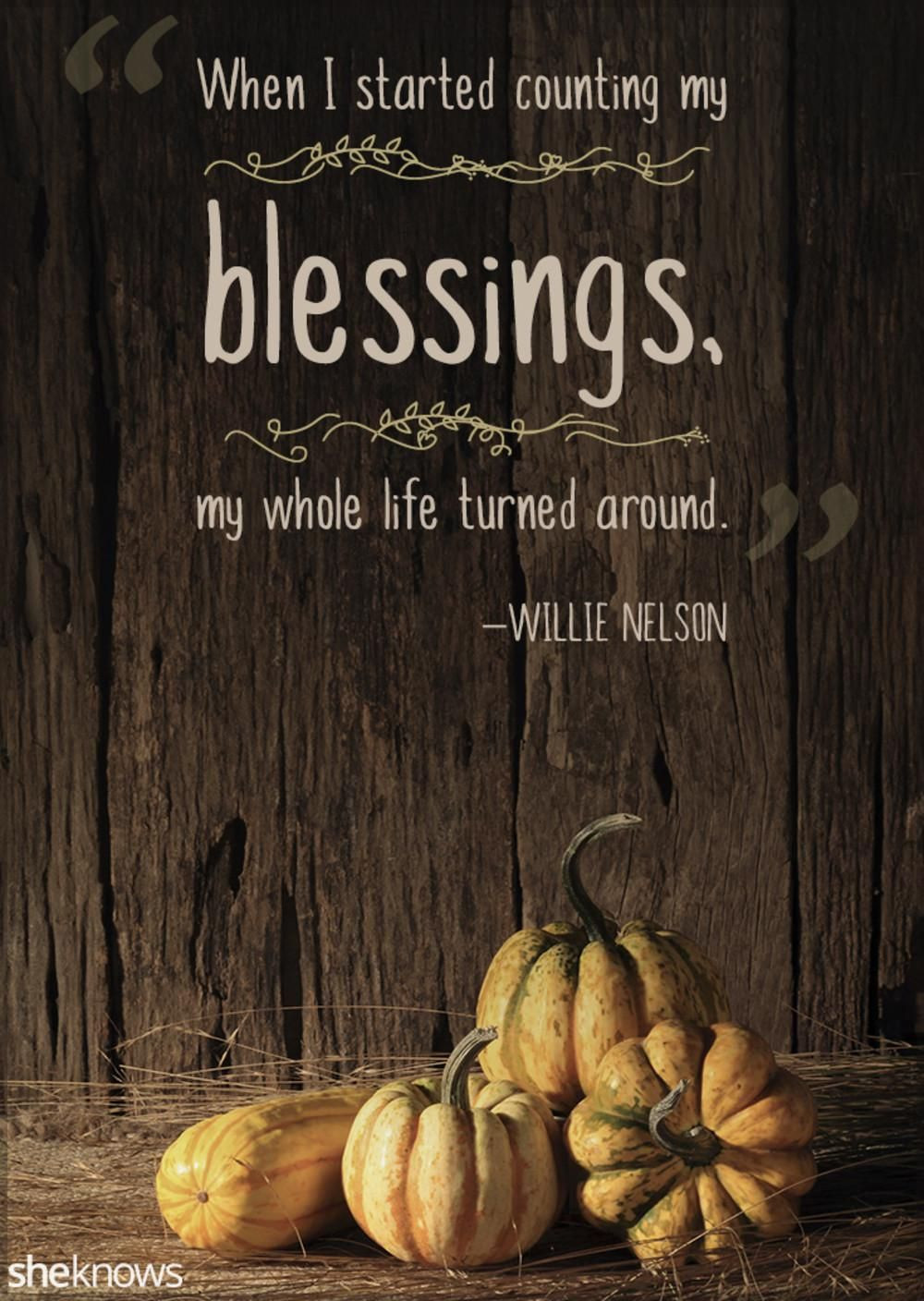 Thanksgiving Quote
 Thanksgiving Quotes Perfect to Read Around the Dinner