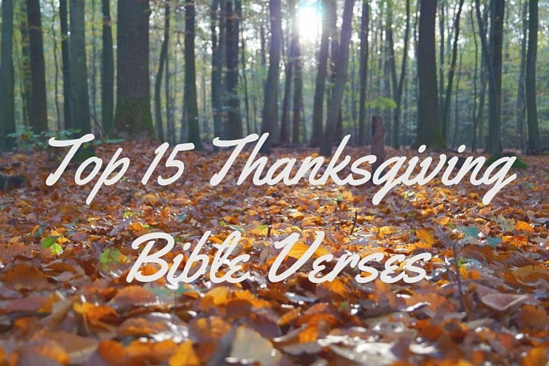Thanksgiving Quotes Biblical
 15 Excellent Bible Verses on Being Thankful