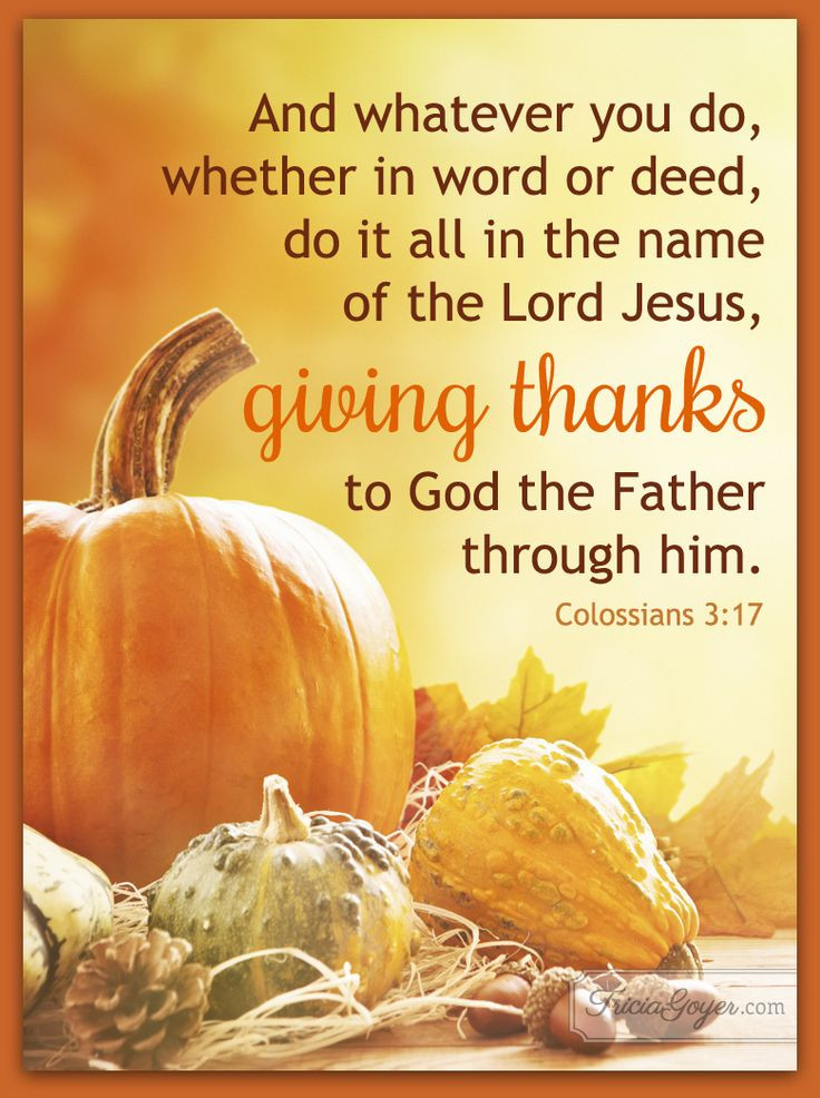 Thanksgiving Quotes Biblical
 250 best Colossians images on Pinterest