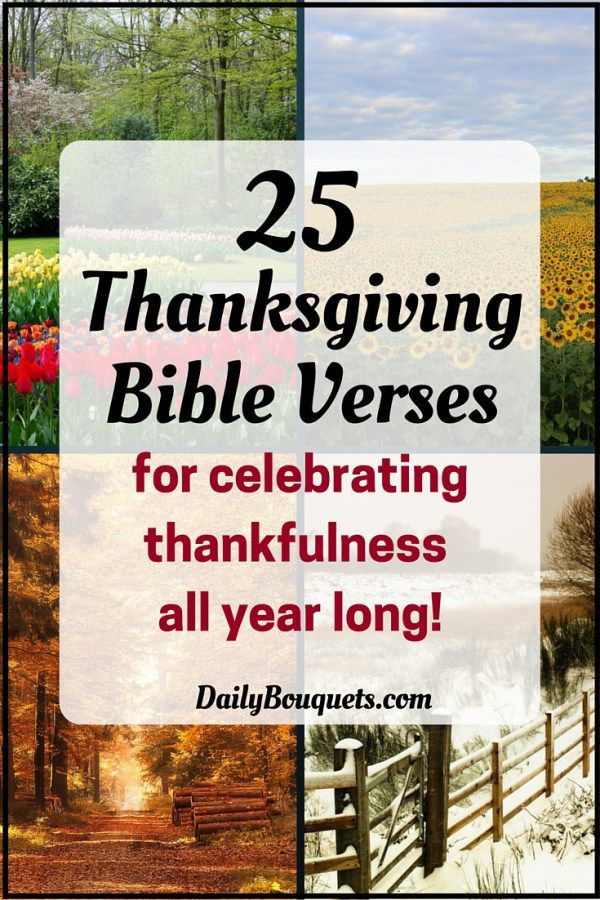 Thanksgiving Quotes Biblical
 17 Best ideas about Thanksgiving Bible Verses on Pinterest